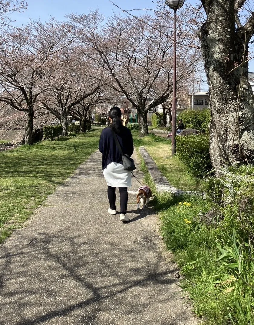 藤田奈々